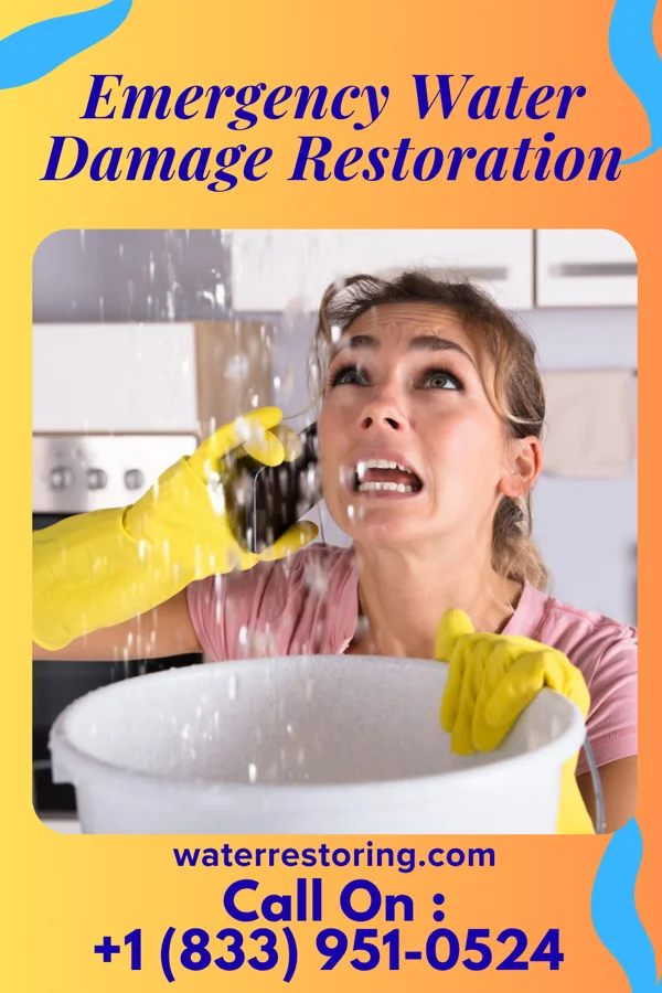 Emergency Water Damage Restoration in Philadelphia, TN