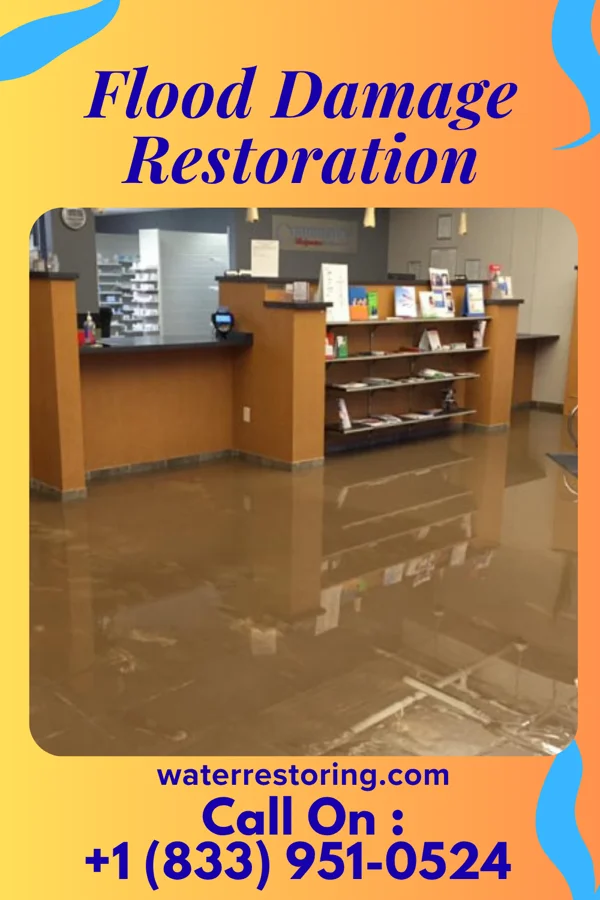 Flood Damage Restoration in Philadelphia, TN