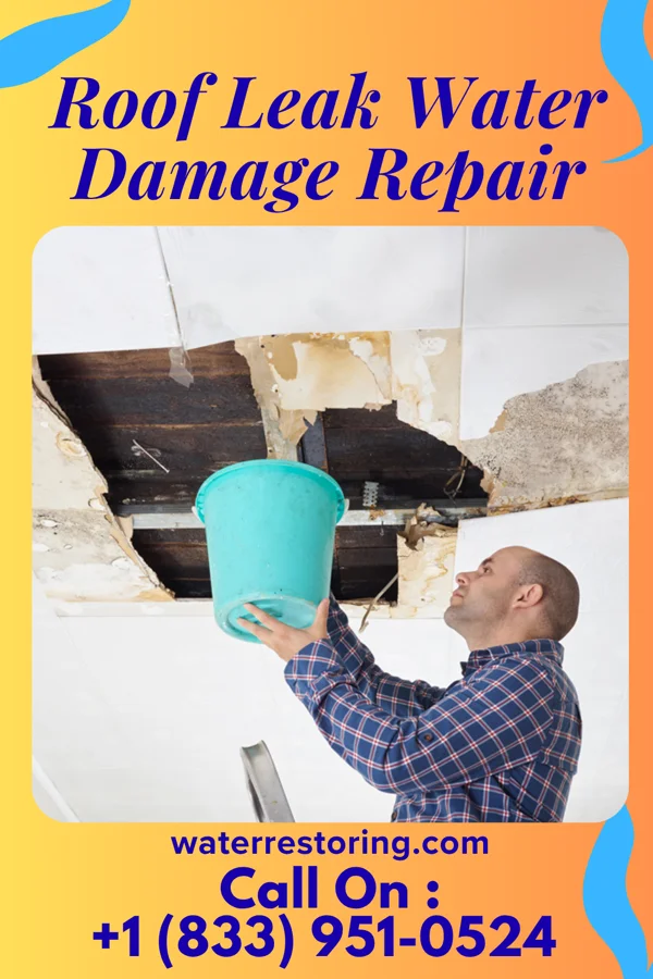 Roof Leak Water Damage Repair in Philadelphia, TN